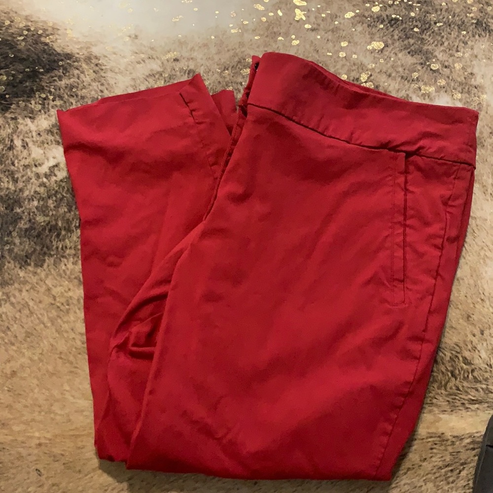 Lane Bryant pants